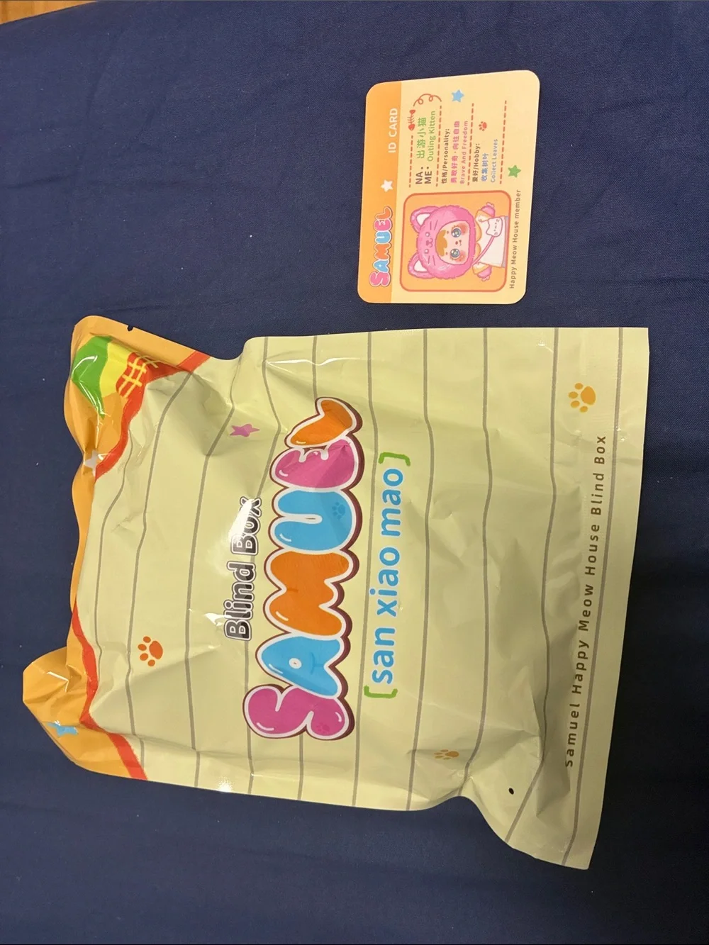 Samuel Blind Box happy meow house